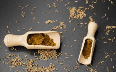 Cumin : Épice terreuse et aromatique utilisée dans les plats latino-américains.