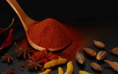 Épices tandoori : Tout ce que vous devez savoir pour des plats délicieux