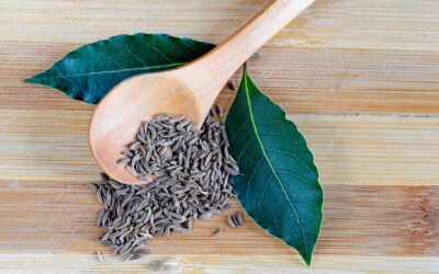 Recettes à base de cumin