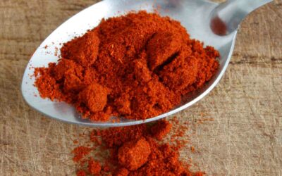 5 recettes pour épicer ta vie avec du paprika